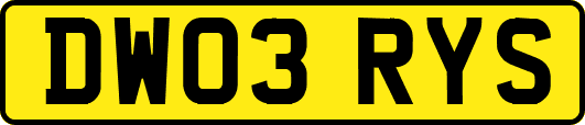 DW03RYS