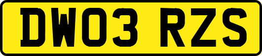DW03RZS