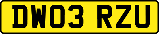 DW03RZU
