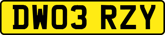 DW03RZY