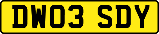 DW03SDY