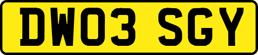 DW03SGY