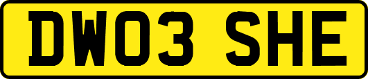DW03SHE