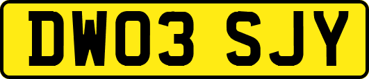 DW03SJY