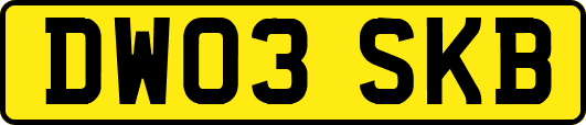 DW03SKB