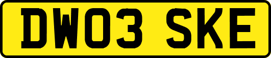 DW03SKE