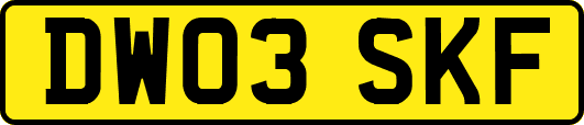 DW03SKF