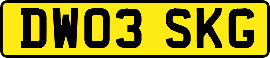DW03SKG