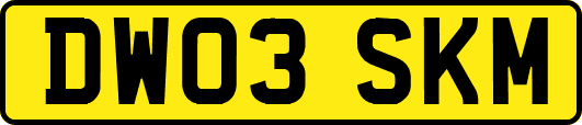 DW03SKM