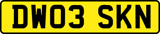 DW03SKN