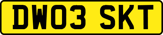 DW03SKT