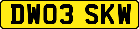 DW03SKW