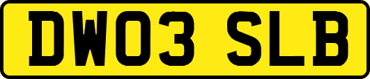 DW03SLB