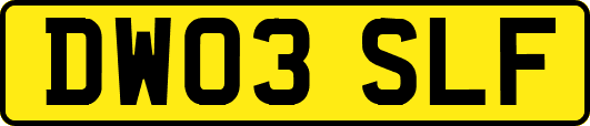 DW03SLF