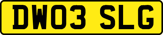 DW03SLG