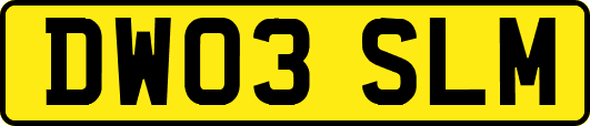 DW03SLM