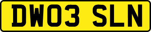 DW03SLN