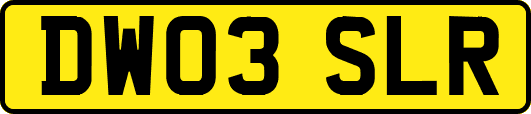 DW03SLR