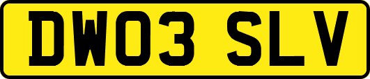 DW03SLV