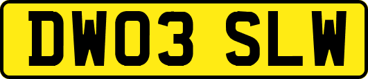 DW03SLW