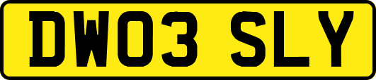 DW03SLY