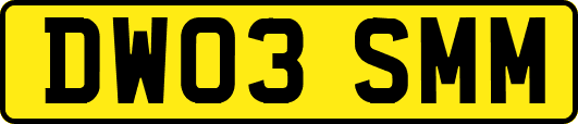 DW03SMM