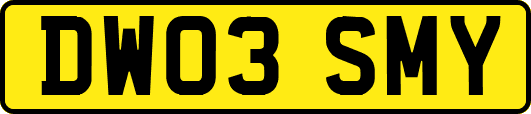 DW03SMY