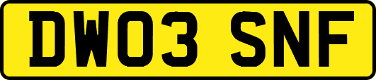 DW03SNF
