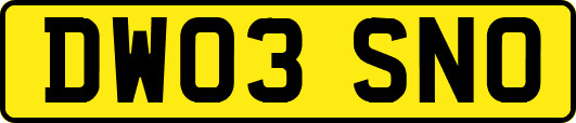 DW03SNO