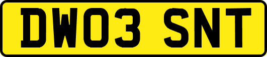 DW03SNT