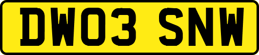 DW03SNW