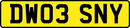 DW03SNY