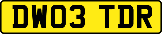 DW03TDR