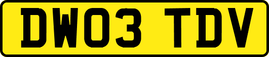 DW03TDV