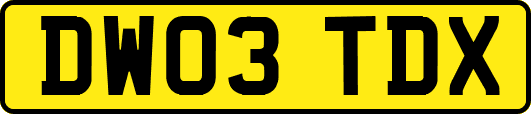 DW03TDX