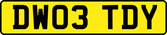 DW03TDY