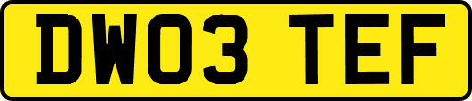 DW03TEF