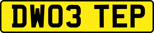 DW03TEP