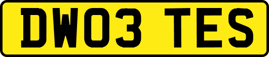 DW03TES