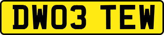 DW03TEW