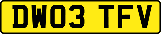 DW03TFV