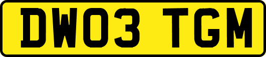 DW03TGM