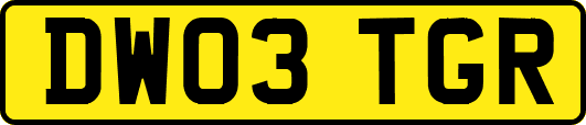 DW03TGR