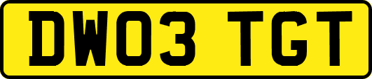 DW03TGT
