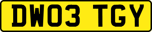 DW03TGY