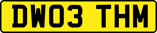 DW03THM