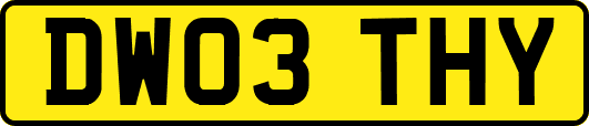 DW03THY