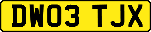 DW03TJX