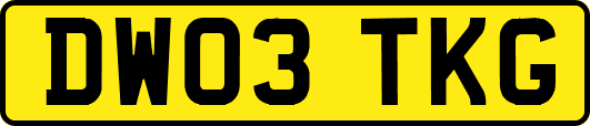 DW03TKG