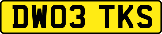 DW03TKS